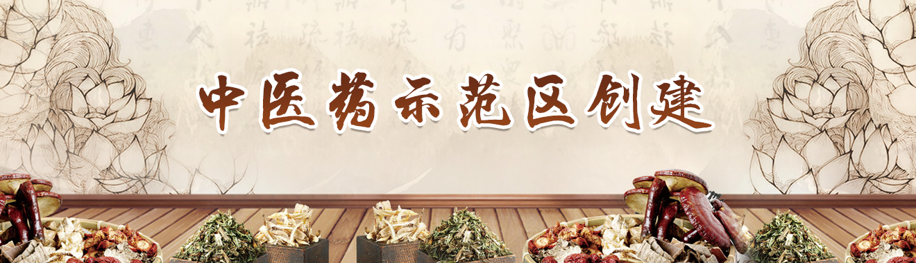 中医药示范区创建